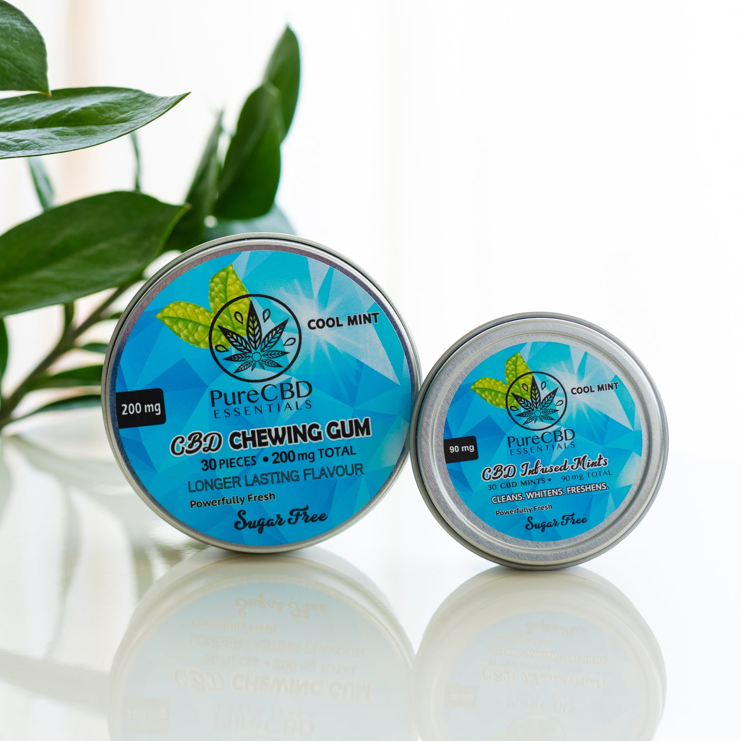CBD Infused Mints